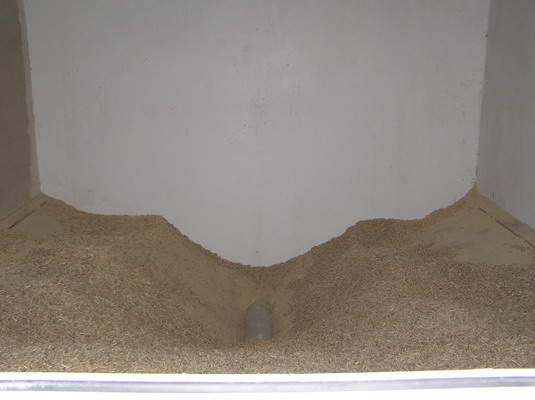 pellets_13